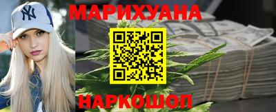 сатива Краснокаменск