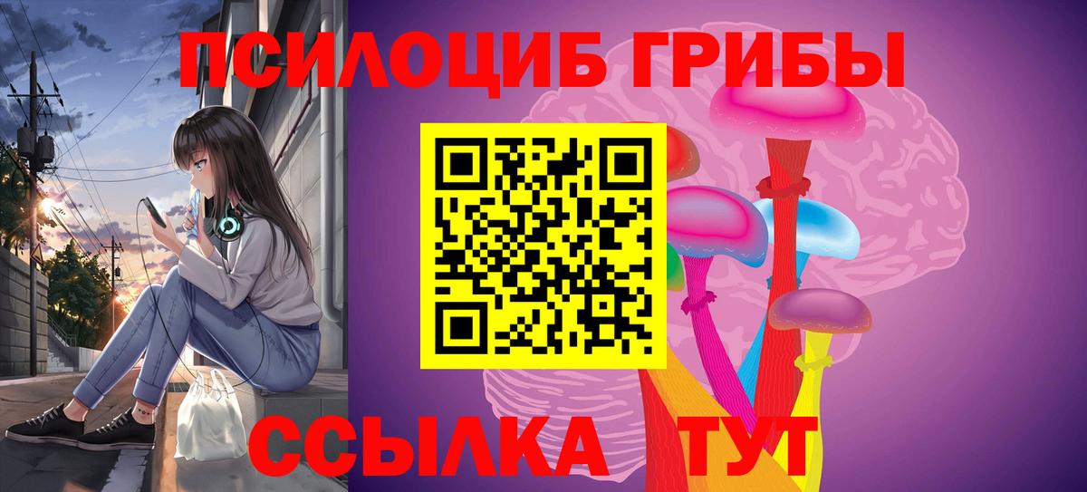Кимовск  Галлюциногенные грибы Psilocybe  Вход с VPN 