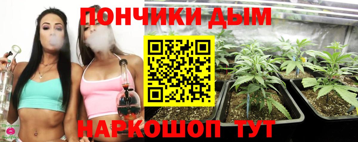 Кимовск  Бошки Шишки VHQ  Каннабис OG Kush  Вход с VPN  Бошки марихуана сатива 
